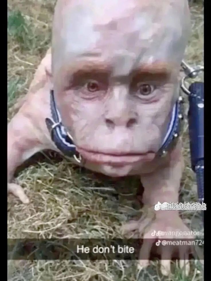 wat